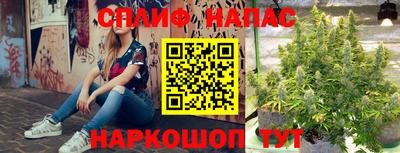 мдпв Рыбинск