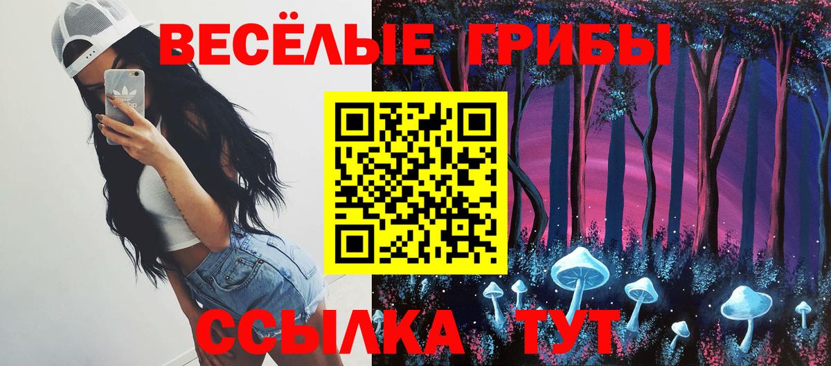Пугачёв  Псилоцибиновые грибы MAGIC MUSHROOMS  Вход с VPN 