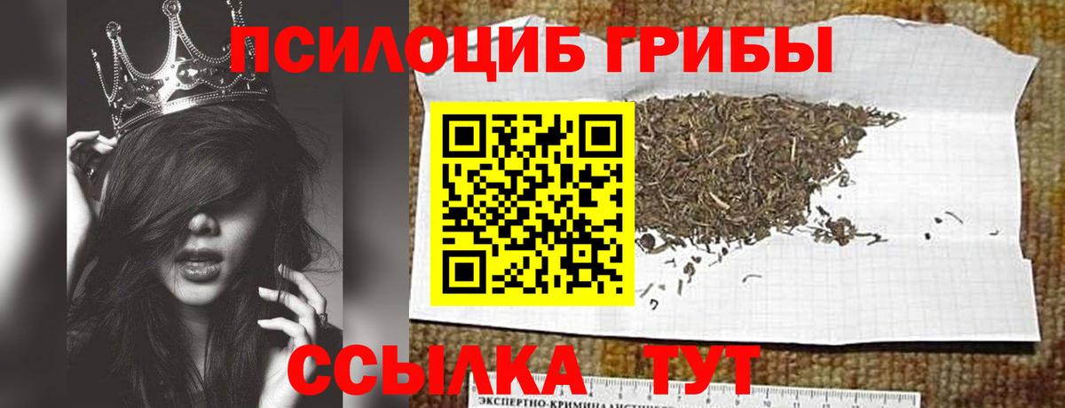 Псилоцибиновые грибы мицелий Пугачёв